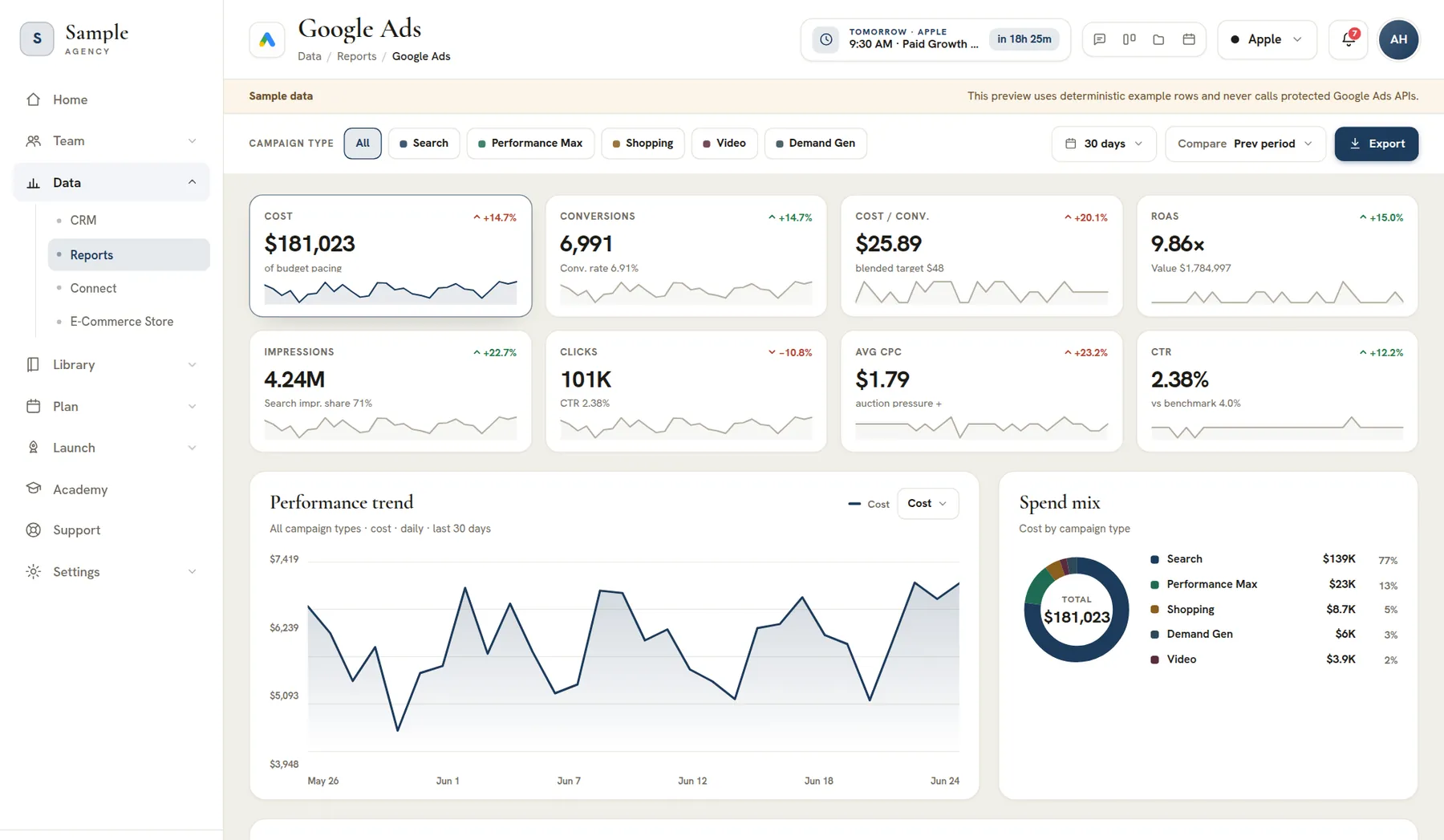 The Google Ads report in the console, showing cost, conversions and ROAS above a daily performance trend
